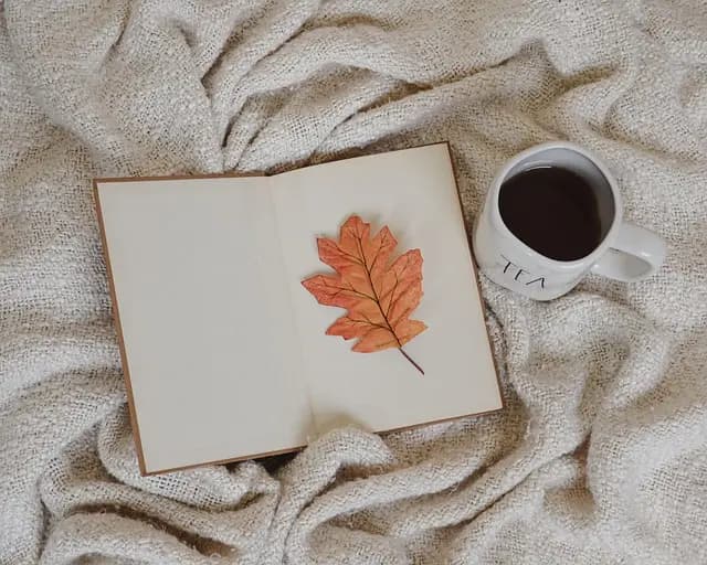 10 recettes de gâteaux d'automne à savourer sous un ciel gris