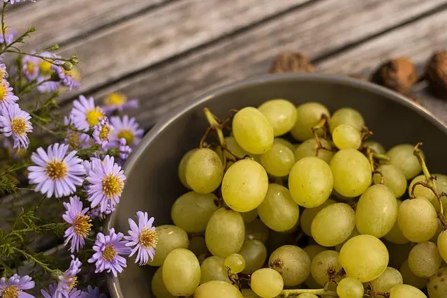 10 recettes de gâteaux sains et délicieux à essayer
