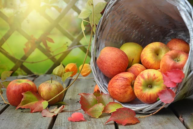 Comment réaliser un gâteau de saison : recettes et astuces